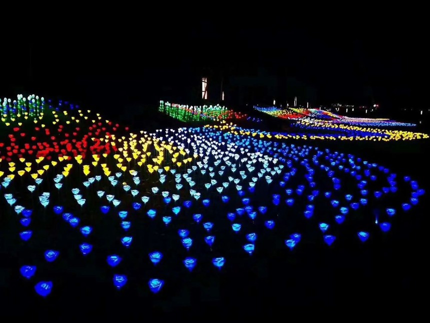 1658738809465610.jpg 4.jpg